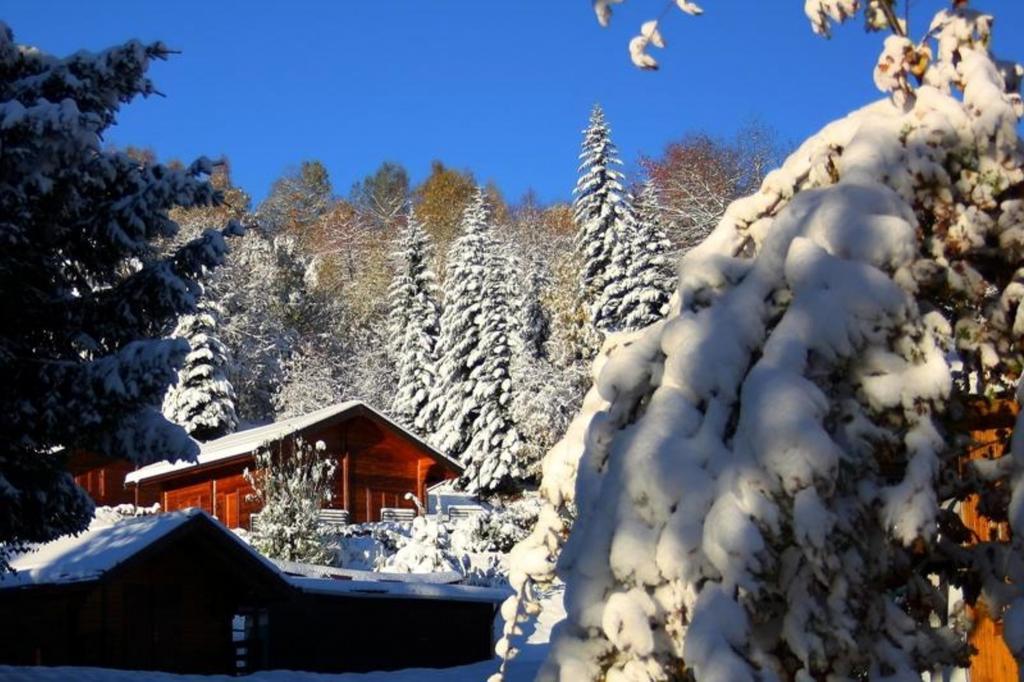 Camping Yoghi E Bubu San Giacomo (Piedmont)